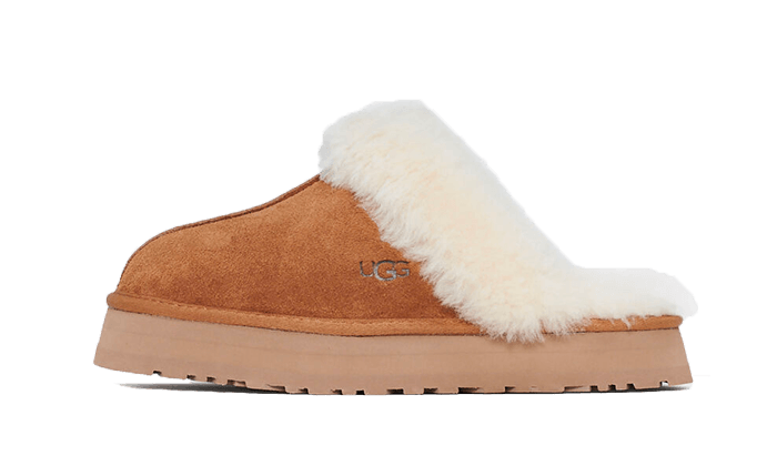 Chestnut Slipper Floppy