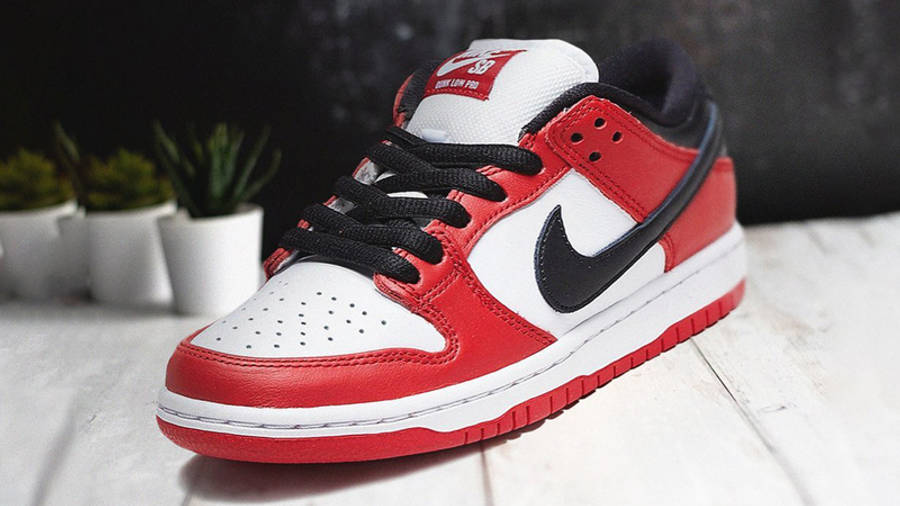 Sb Dunk Low Pro Chicago - Image 5