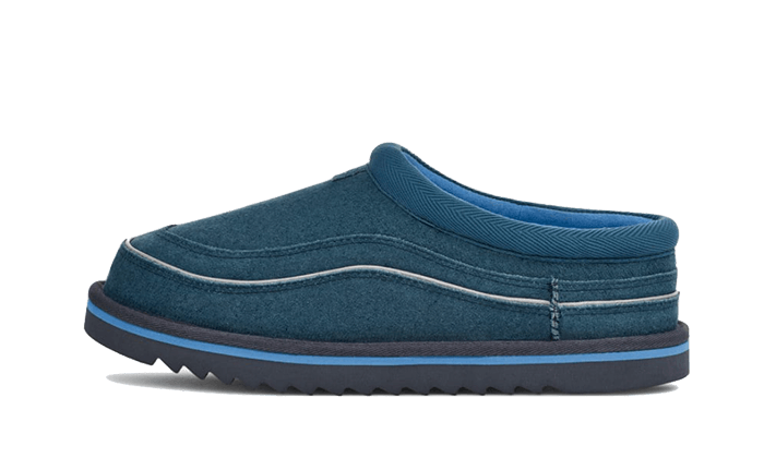 Tasman Cali Wave Evening Sky Big Sky